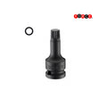 1/2" Imp. veeltand dop bit M12 (één-stuk)
