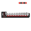 12pc 3/8DR. Star socket set