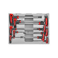10-delige T-greep resistorx sleutel set