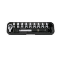 12pc Head-interchageable torque wrench & 6pt. Spline spanner set