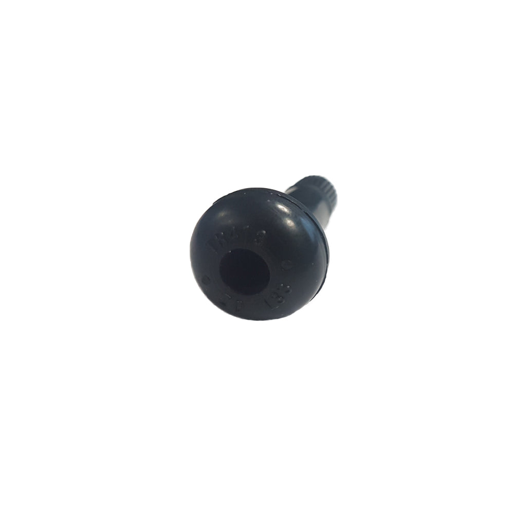 Ventielen TR-414 (100 stuks)