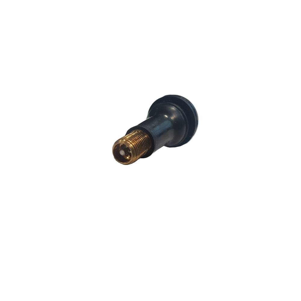Ventielen TR-414 (100 stuks)